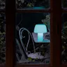 image 4 of 6