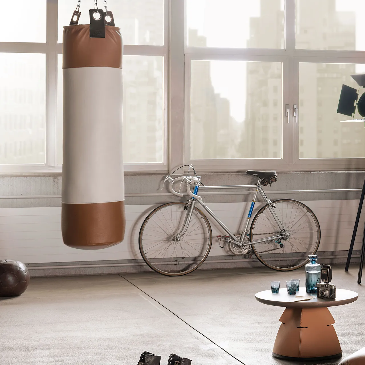 DS-2878 Punching Bag