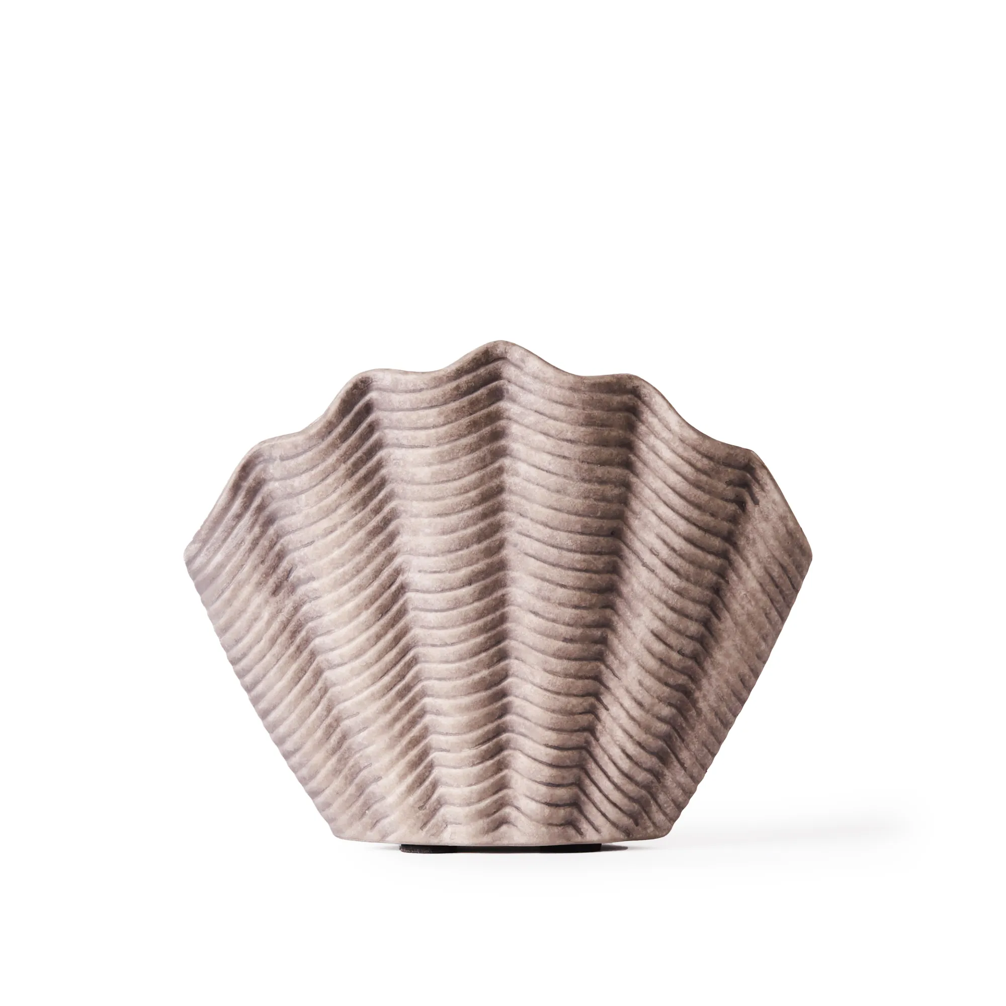 Concha Vase Fluted Medium - 1