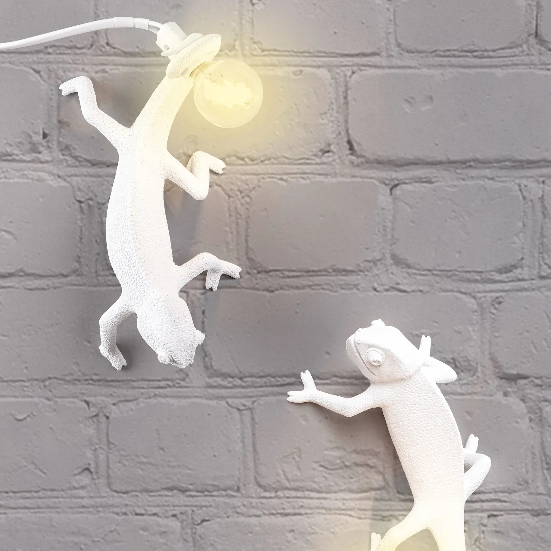 Chameleon Lamp - Seletti - NO GA