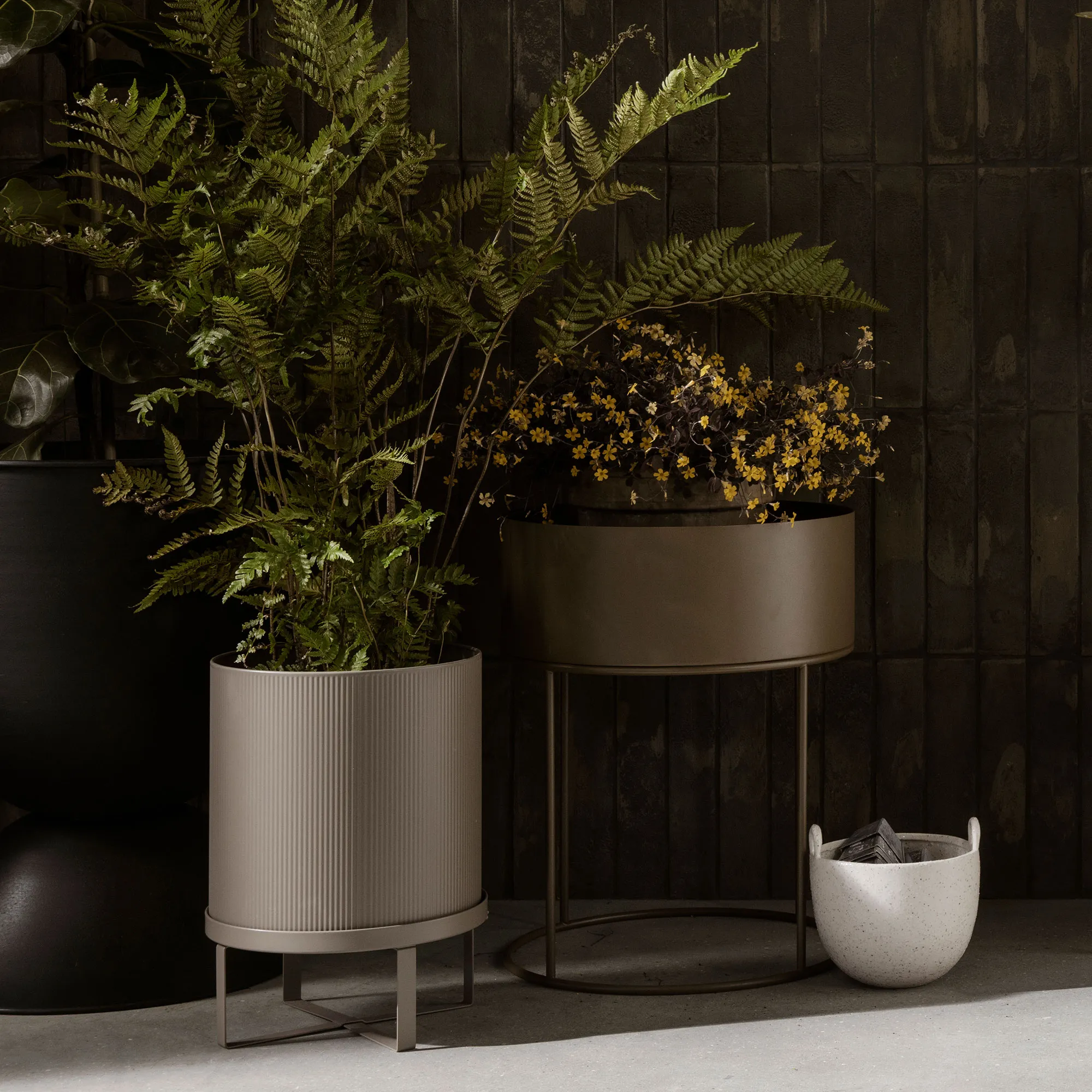 Bau Dark Green blomkruka