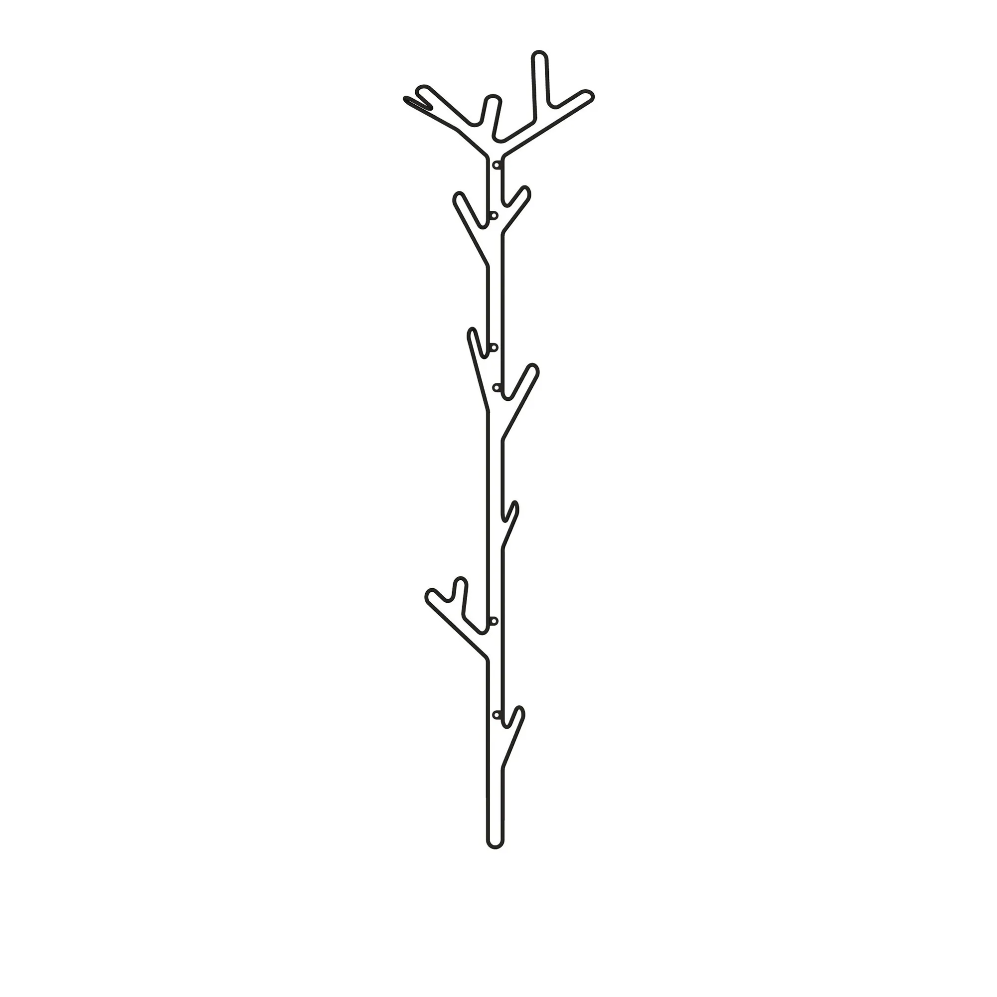image 1 of 12