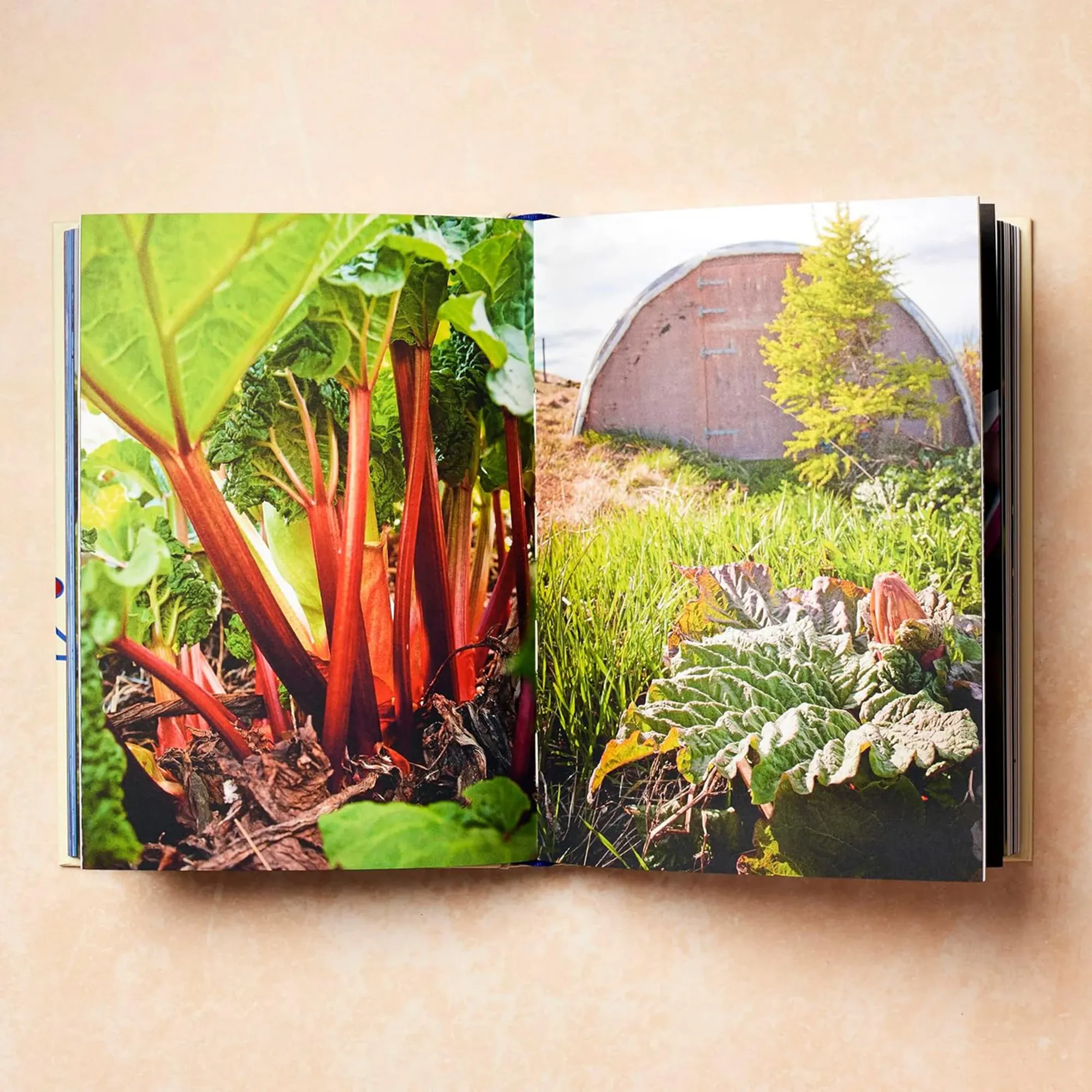 Scandinavia - Recipes and Ingredients kokbok - 4