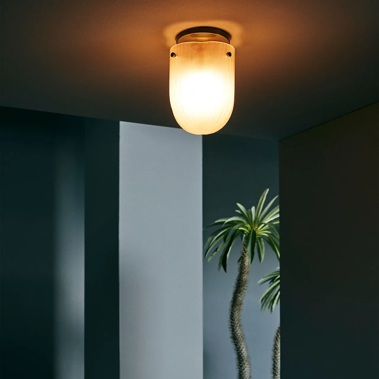 Seine taklampa
