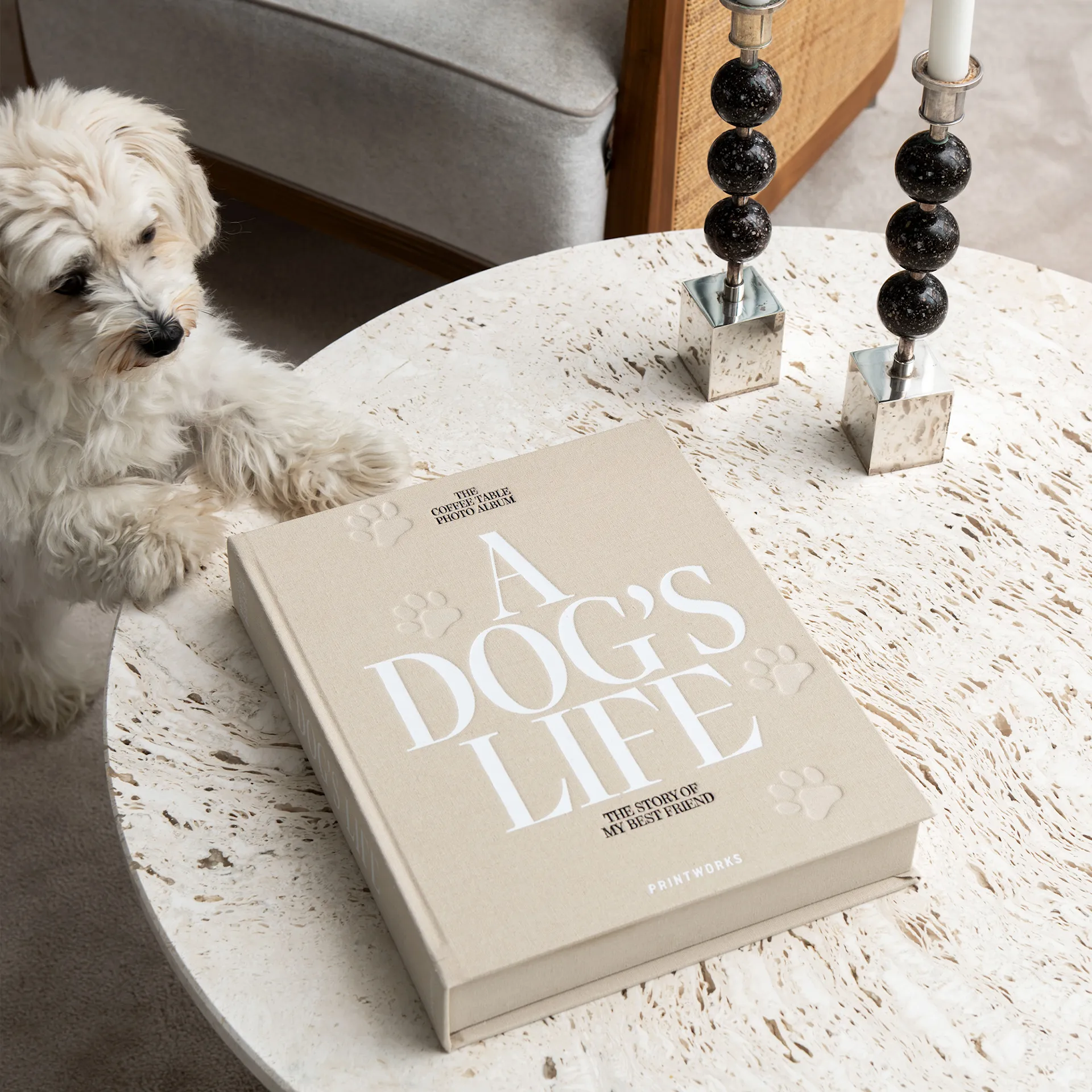 Dog Album - A Dog's Life - Printworks - NO GA