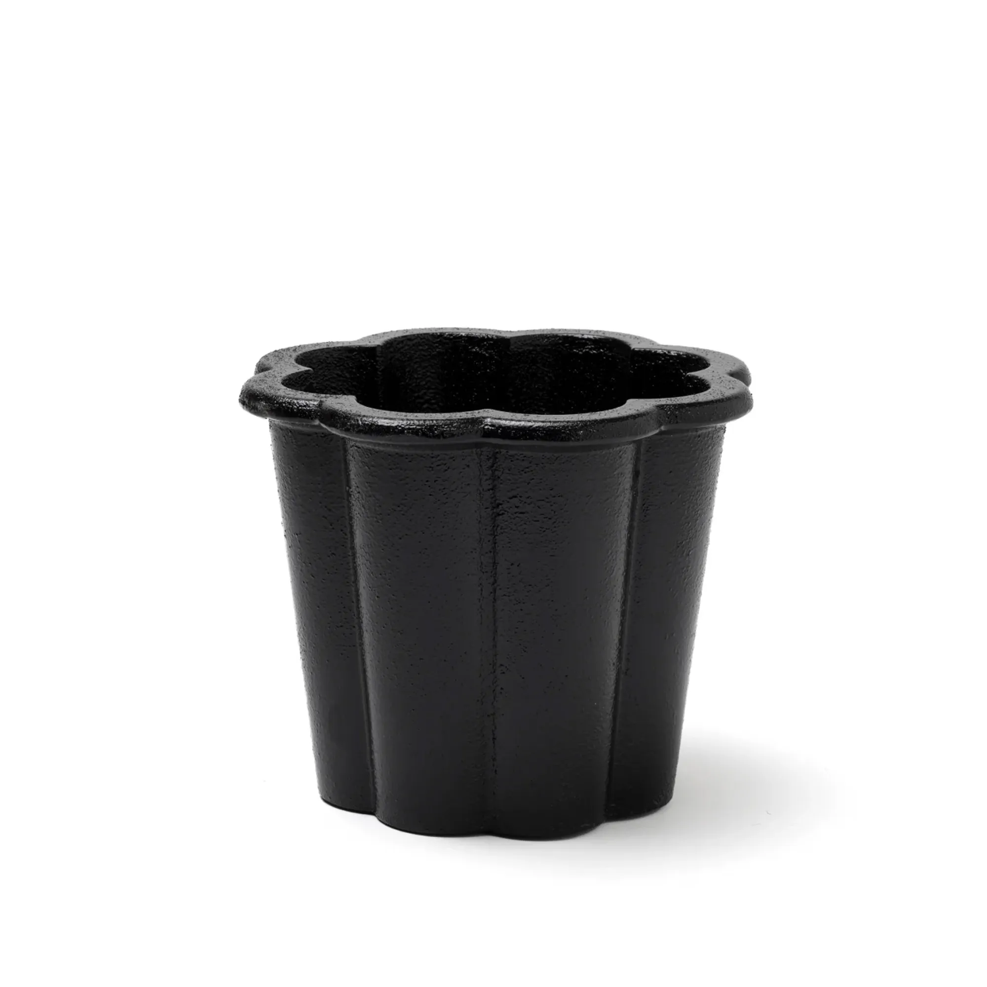 Fjällsippa kruka hög - 1