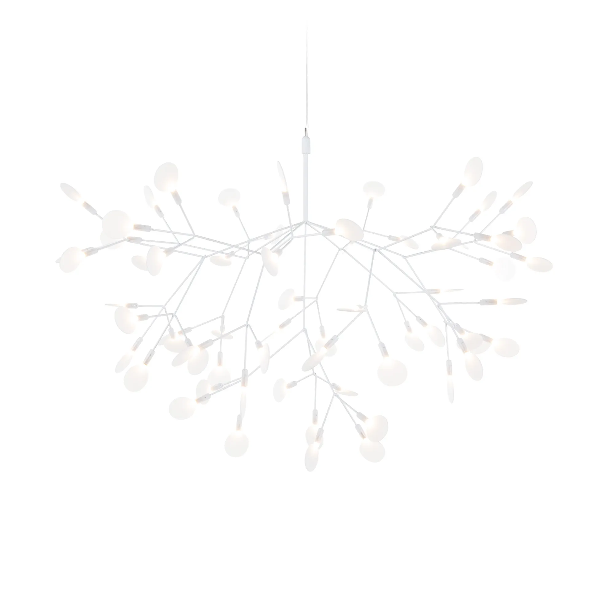 Heracleum III Large takkrona - 1