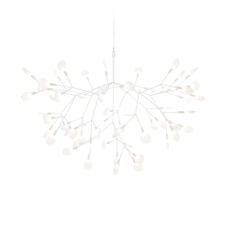 Heracleum III Large takkrona