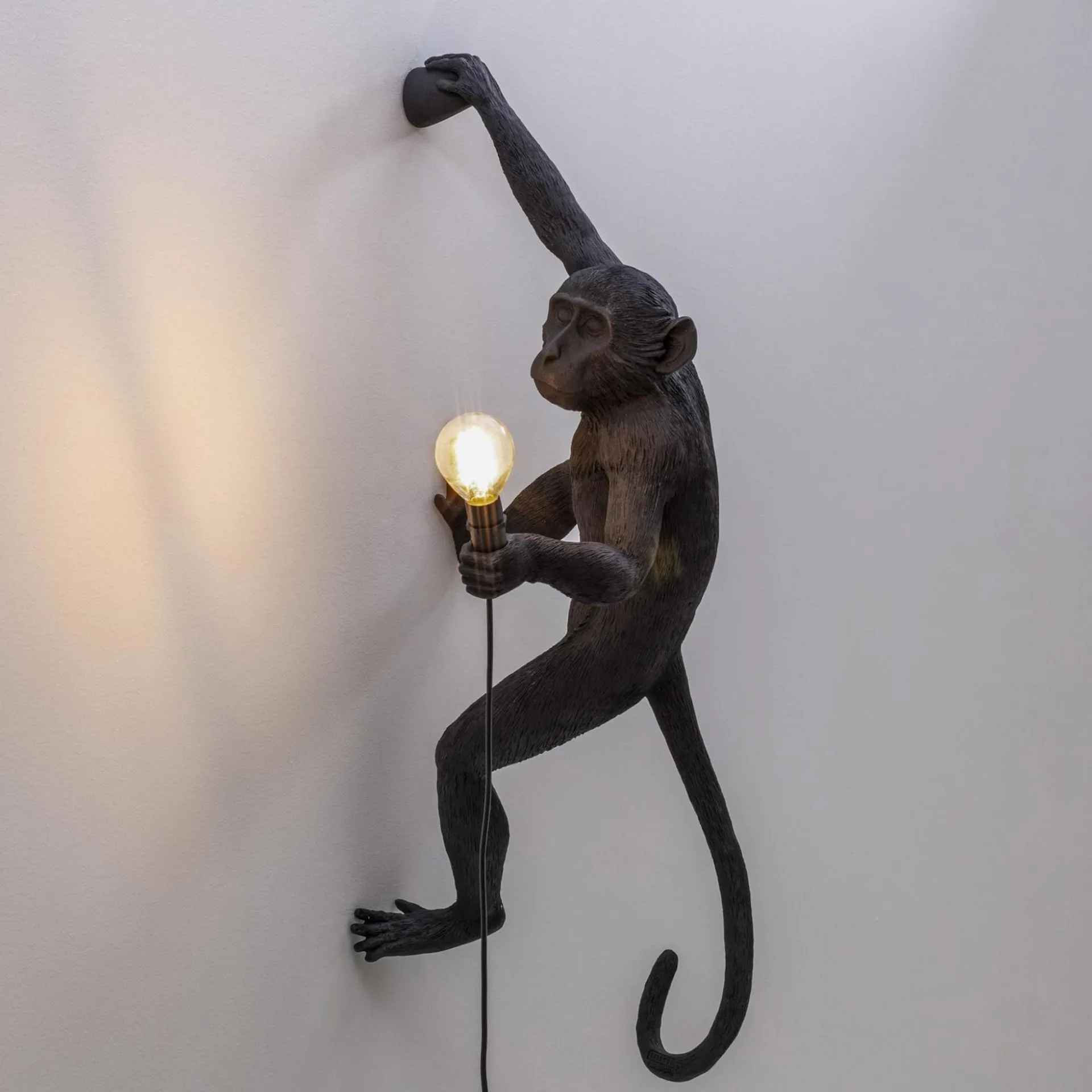 Monkey Lamp Outdoor Hanging - Seletti - NO GA