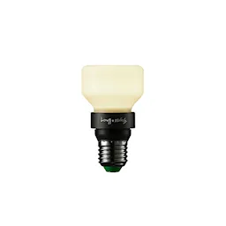 Punch Bulb