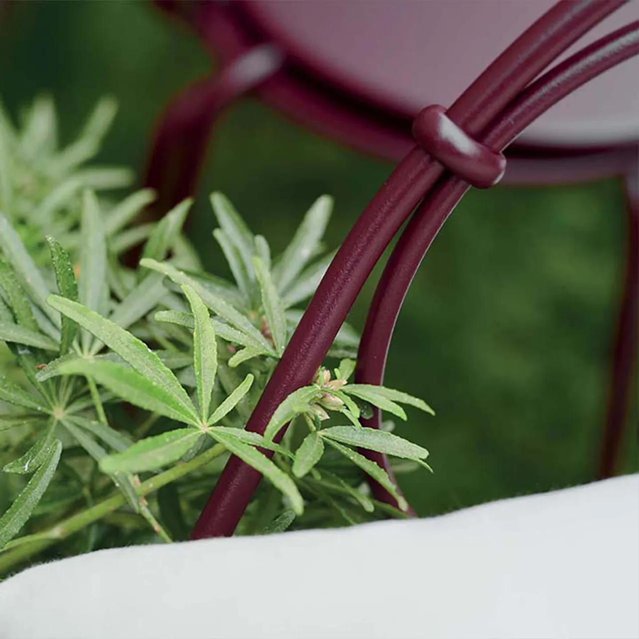 1900 Cabriolet Armchair - Capucine/Flannel Grey