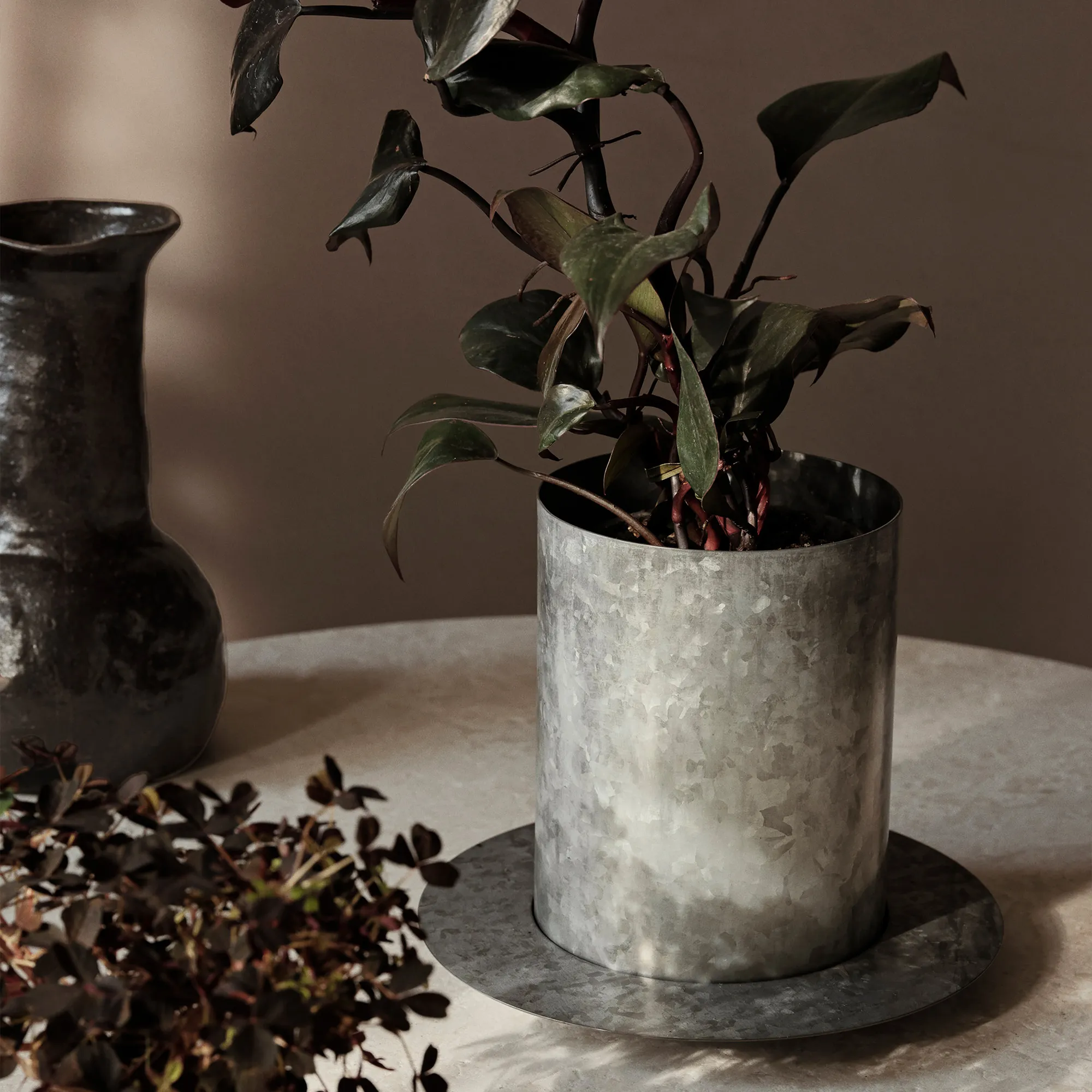 Auran Medium blomkruka