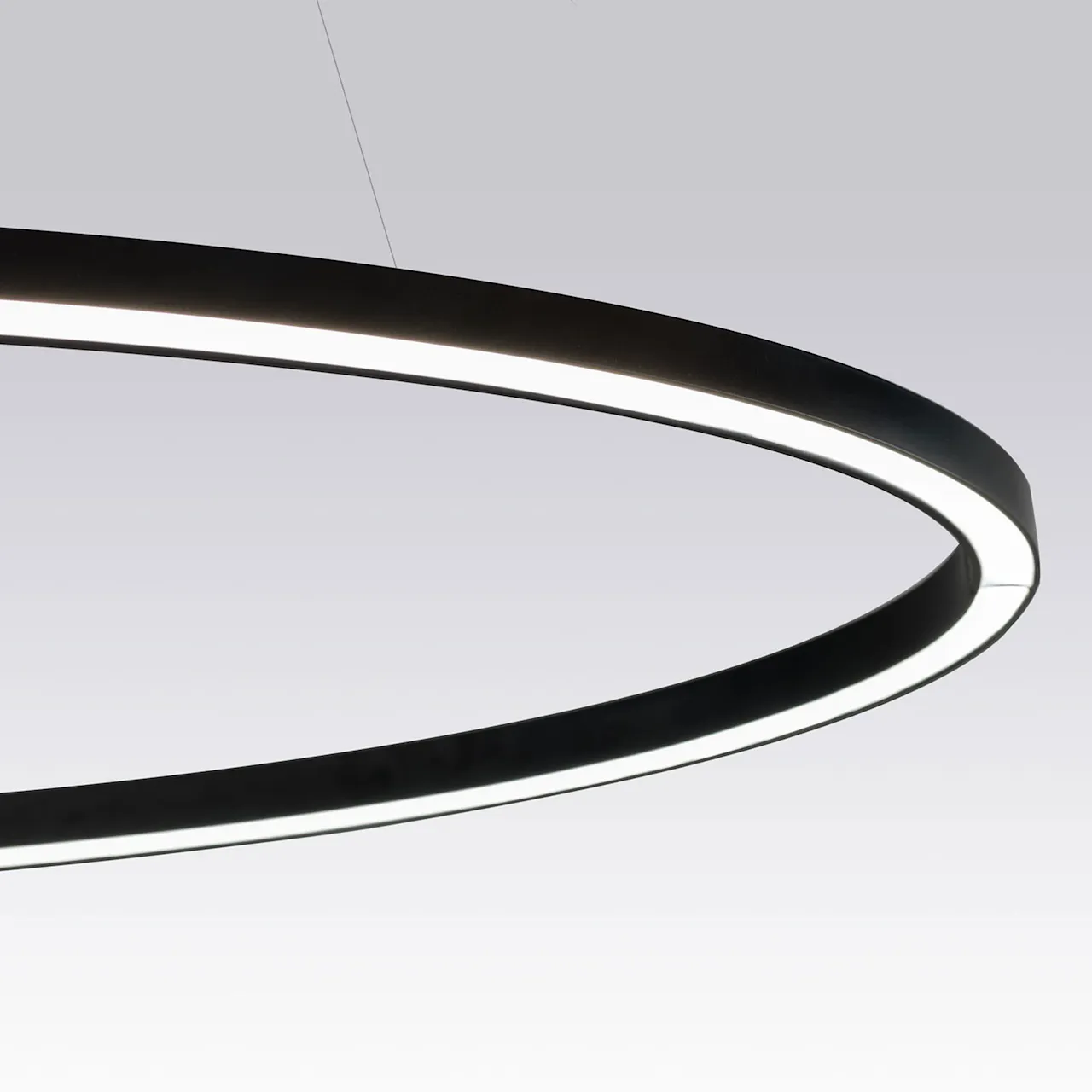 Ellisse Minor Pendant, Downlight